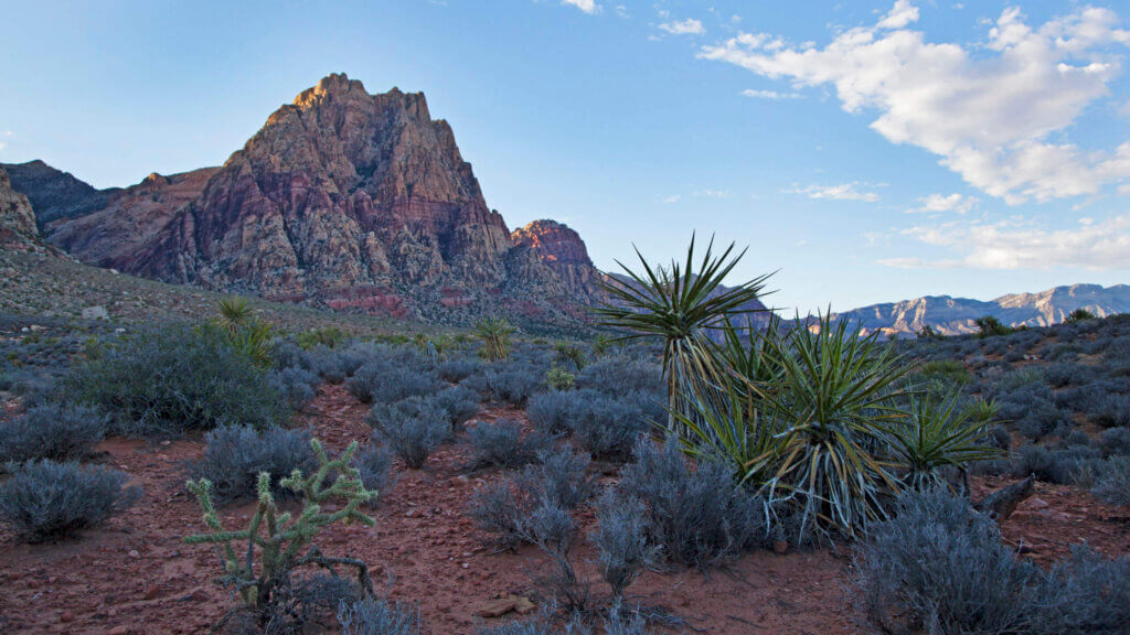 mountains in the mojave desert