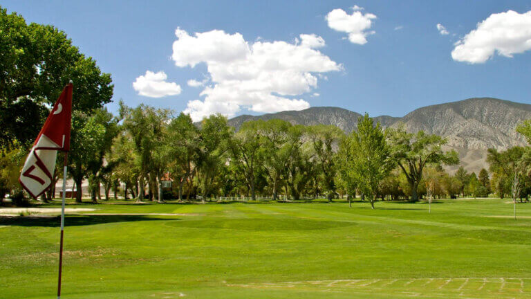 nevada fields