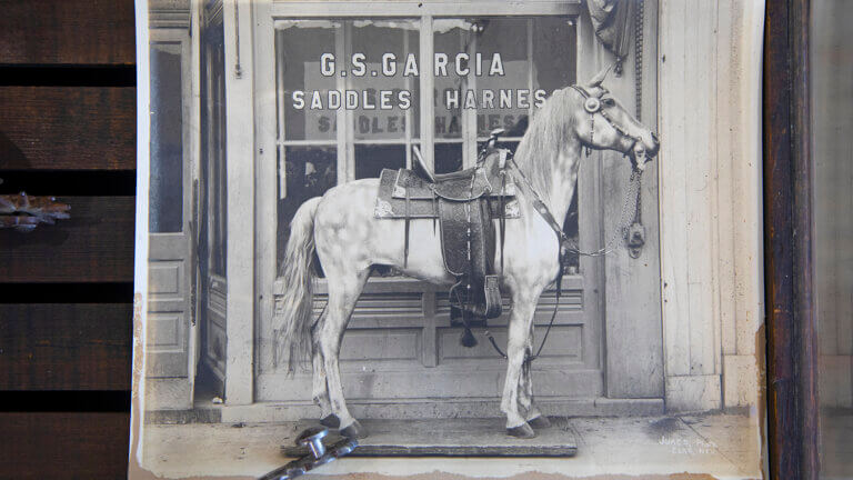 black and white image of a horse in front of g s garcias saddles and harness store