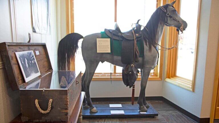 american buckaroo on display at the cowboys art and gear museum