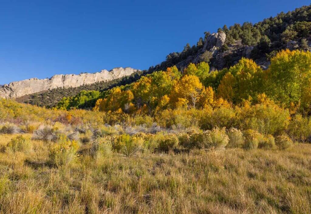 fall colors at cave lake state park nevada