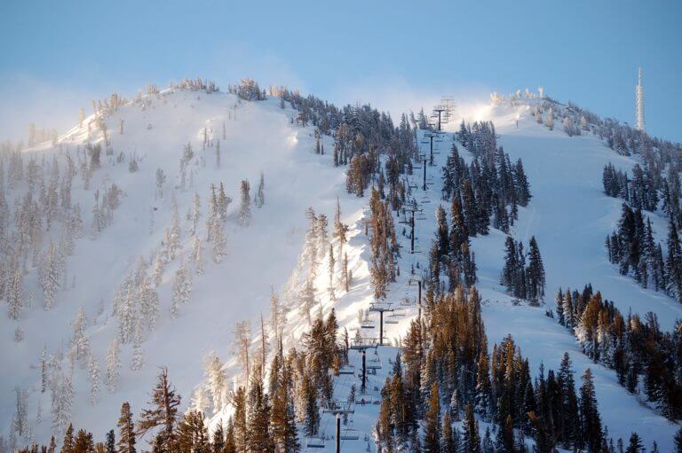 mountain rose-ski at tahoe during daytime