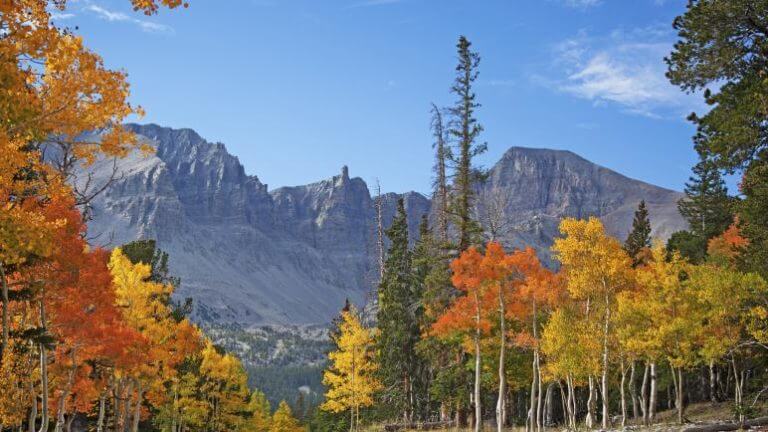 great basin national park in autumn