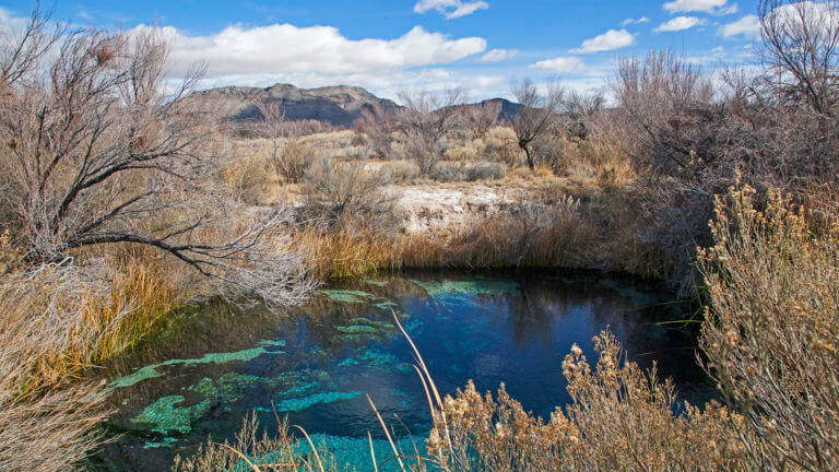 ash meadows national wildlife refuge