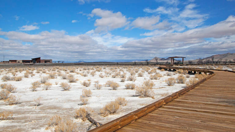 ash meadows in nevada death valley