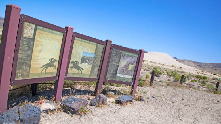 sand springs desert study area