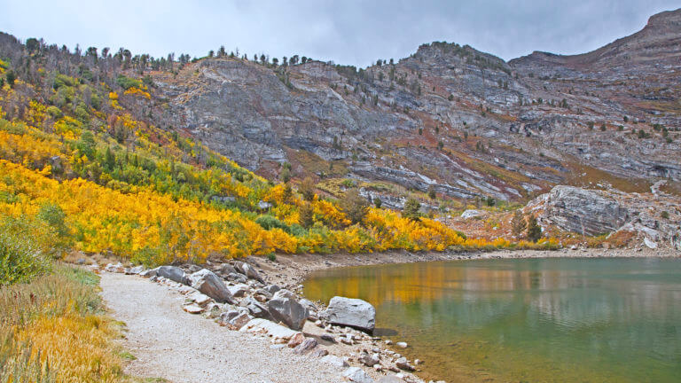 shore line at angel lake