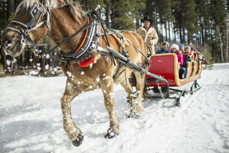 Tahoe Sleigh Ride