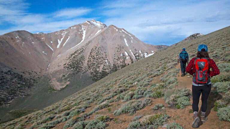 hikers hiking along boundary peak trail