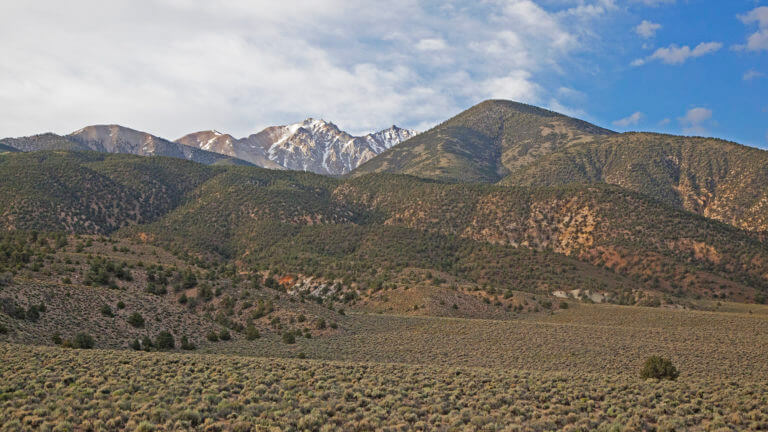 inyo national forest