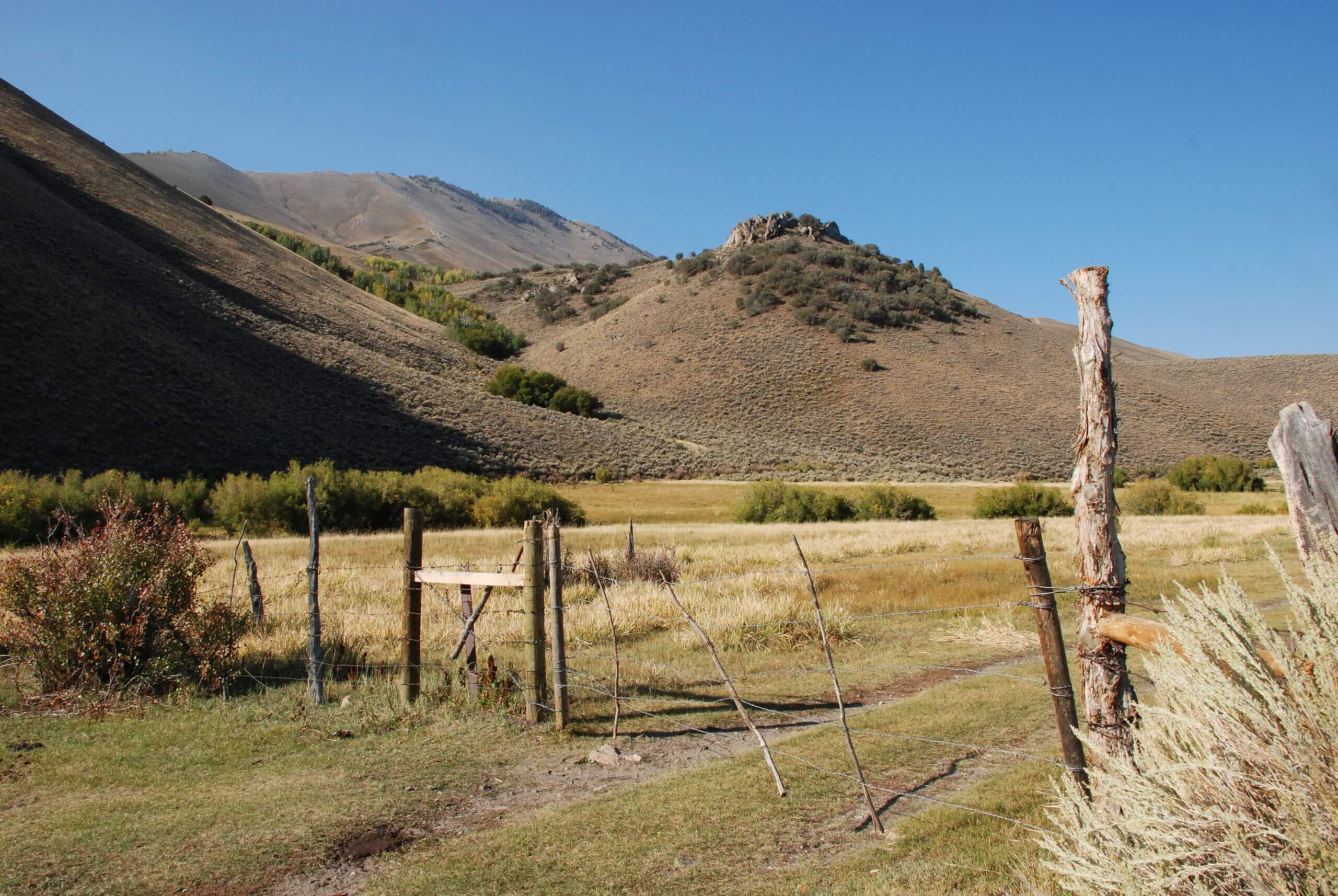 toiyabe crest national recreation trail & arc dome wilderness