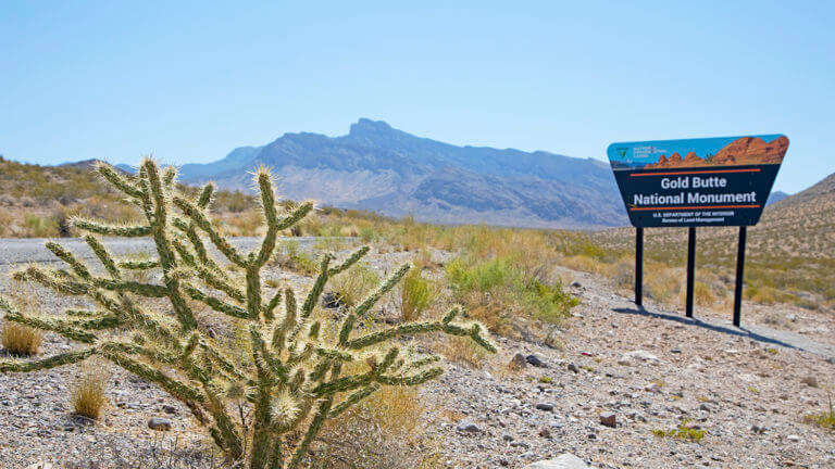 Gold Butte National Monument