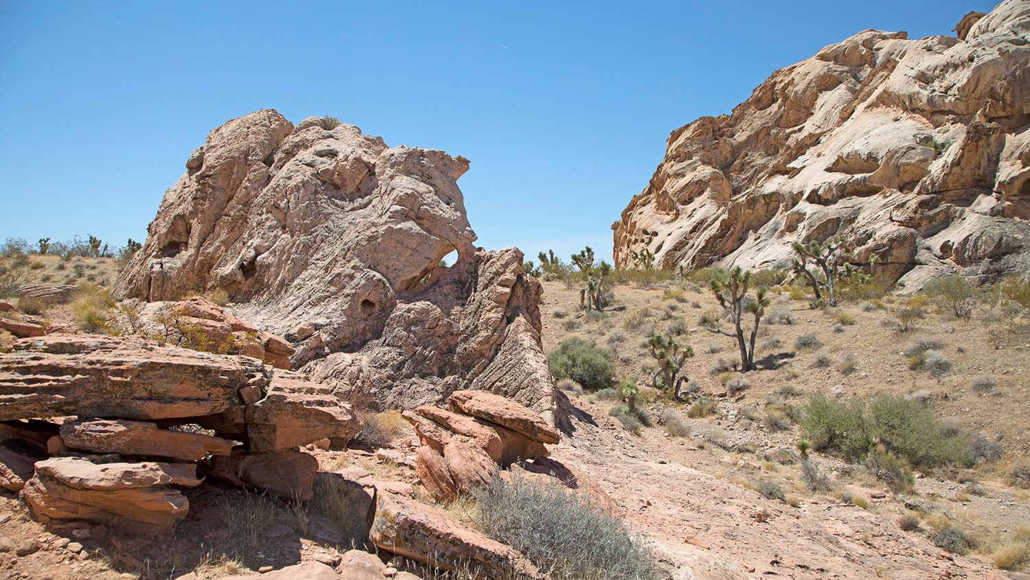 Discover Gold Butte National Monument of Nevada