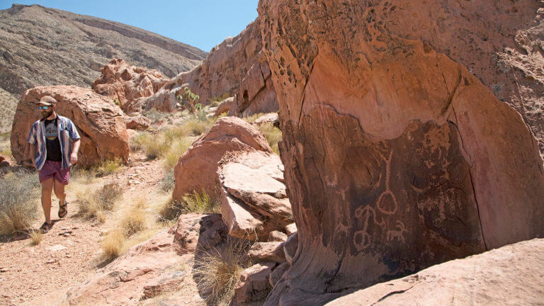Petroglyph panels in Gold Butte