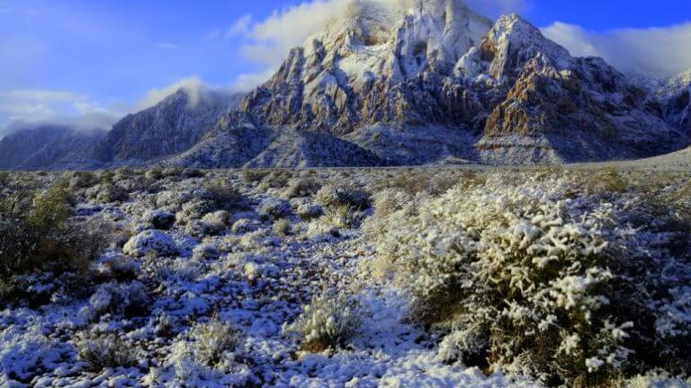 red rock canyon covered in snow