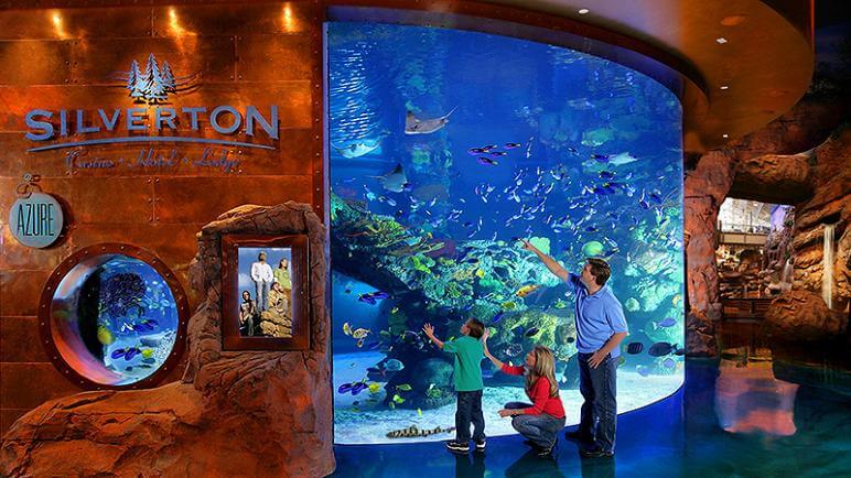 The Aquarium at the Silverton Casino