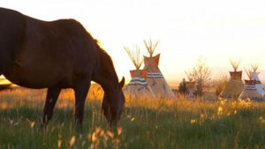 Mustang Monument Eco-Resort & Preserve