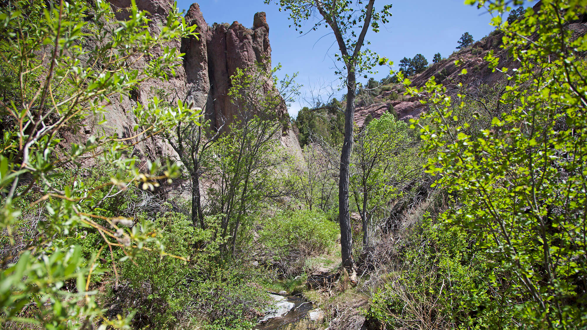 beaver dam state park