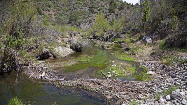 beaver dam campground