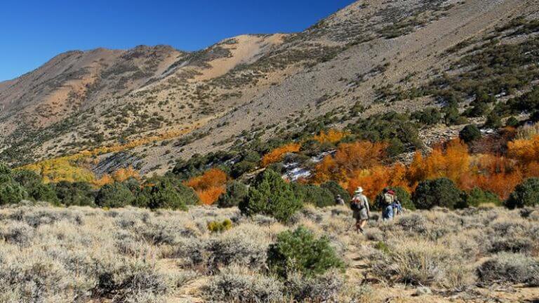 Two hikers in Inyo national forest