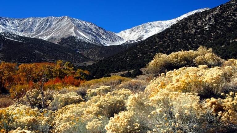 Boundary peak moutain range