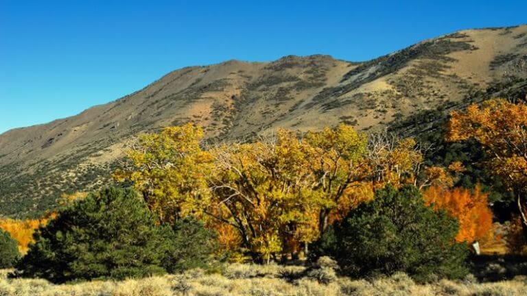 Boundary peak during fall