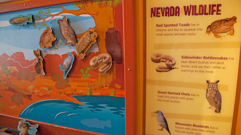 Nevada wildlife map