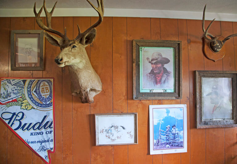 deer head hung on the wall next to nevada budweiser sign