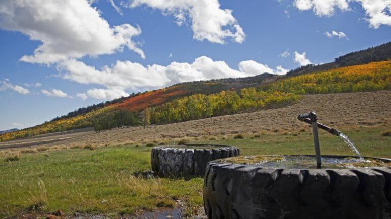 mountain moriah wilderness area tires