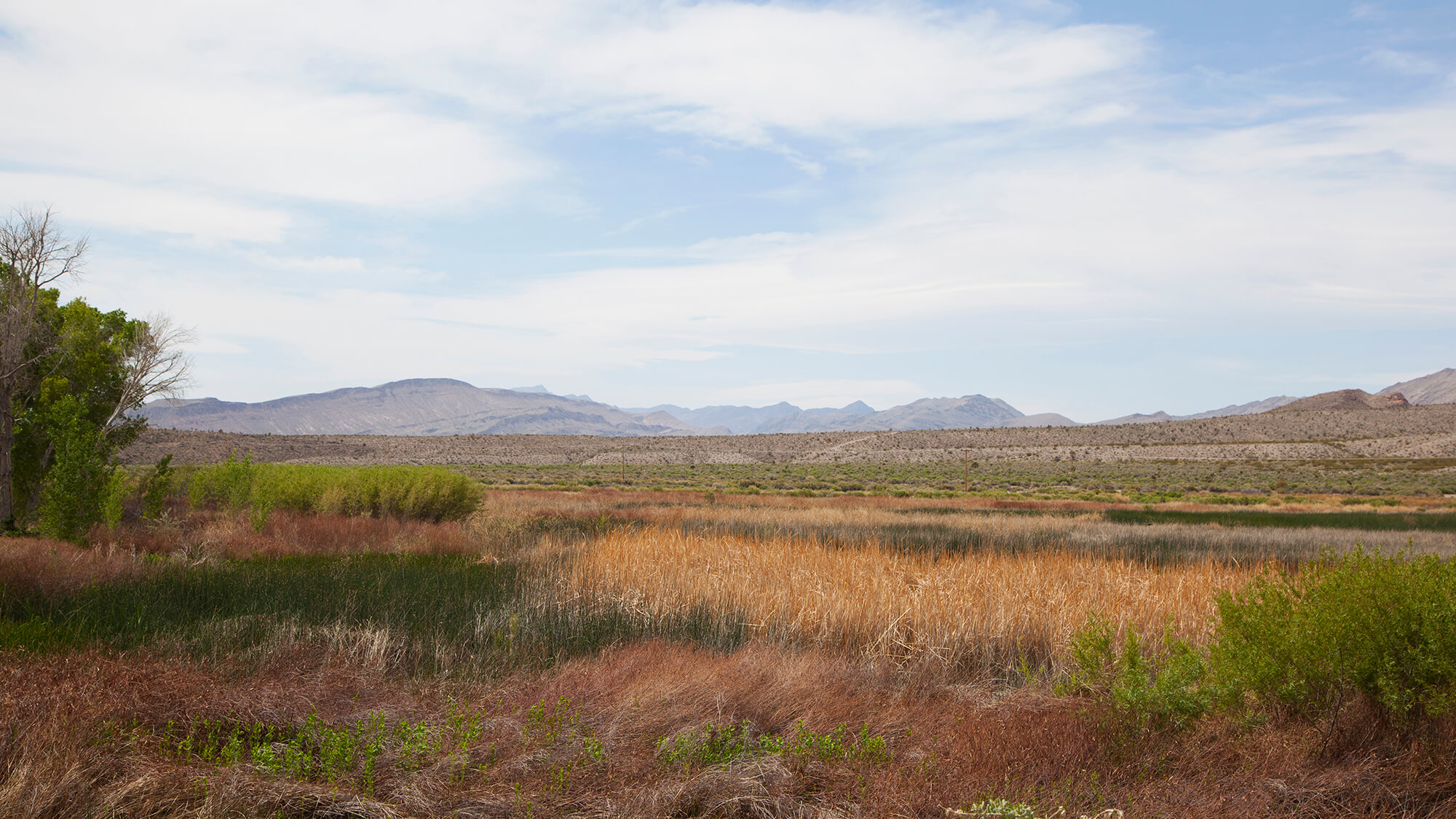 Alamo Nevada Alamo Nevada to Las Vegas Alamo NV