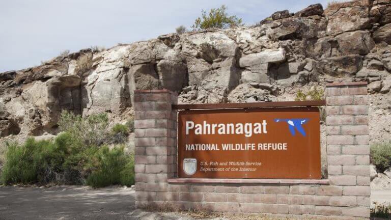 welcome to pahranagat national wildlife refuge