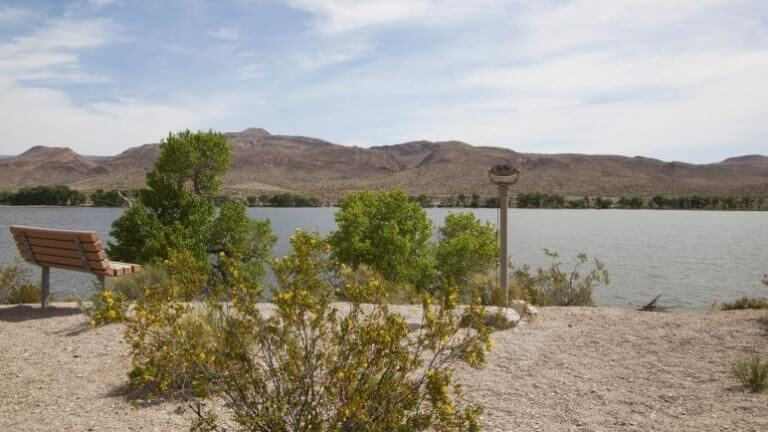 park bench overlooking pahranagat lake