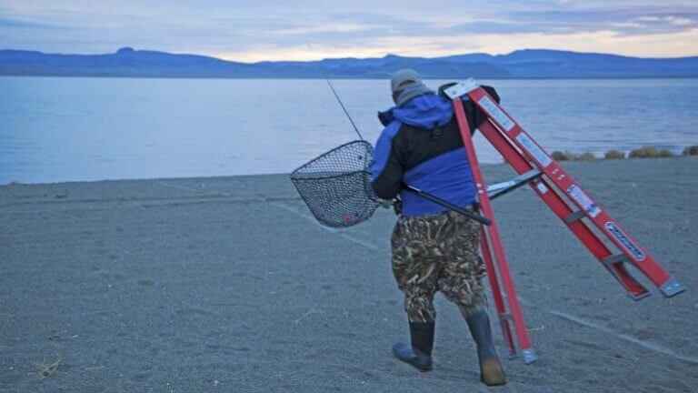 man walking with ladder and net