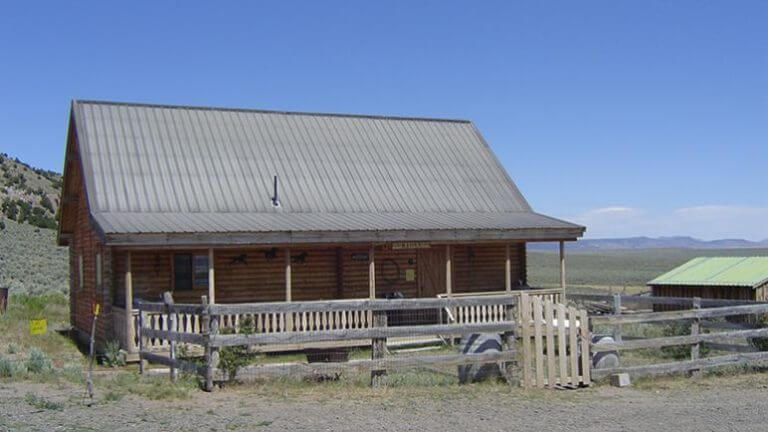 old yella dog ranch area