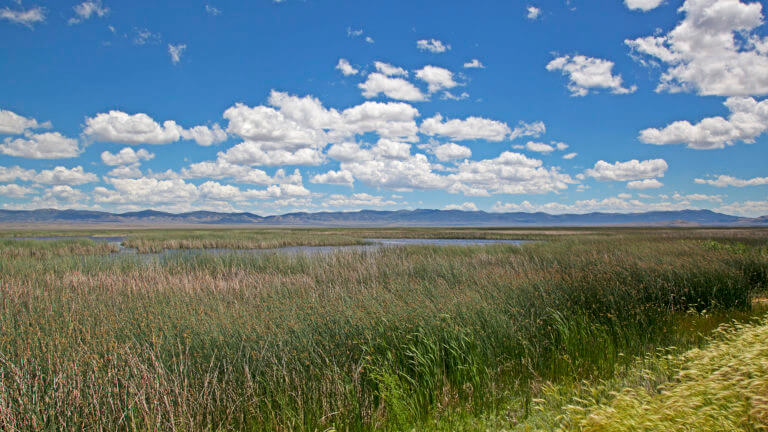 ruby lake nwr