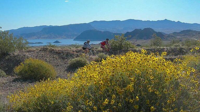 bootleg canyon mountain bike park