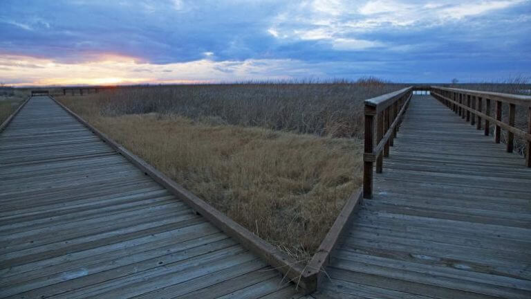 stillwater refuge landscape