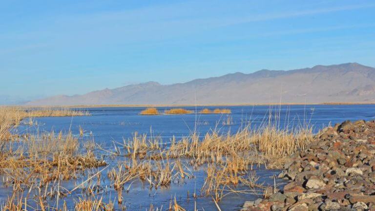 stillwater national wildlife refuge in nevada