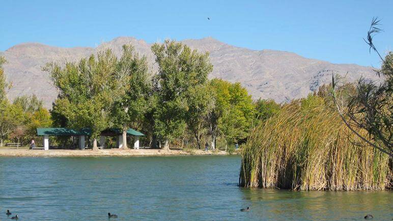 Floyd Lamb Park at Tule Springs