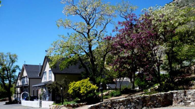 gardens at edith palmers country inn & cider factory