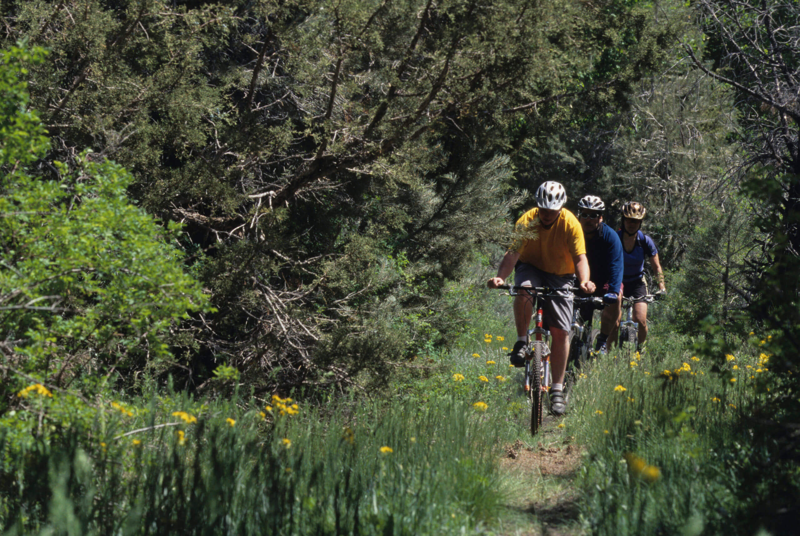 Austin Mountain Bike Trail Network