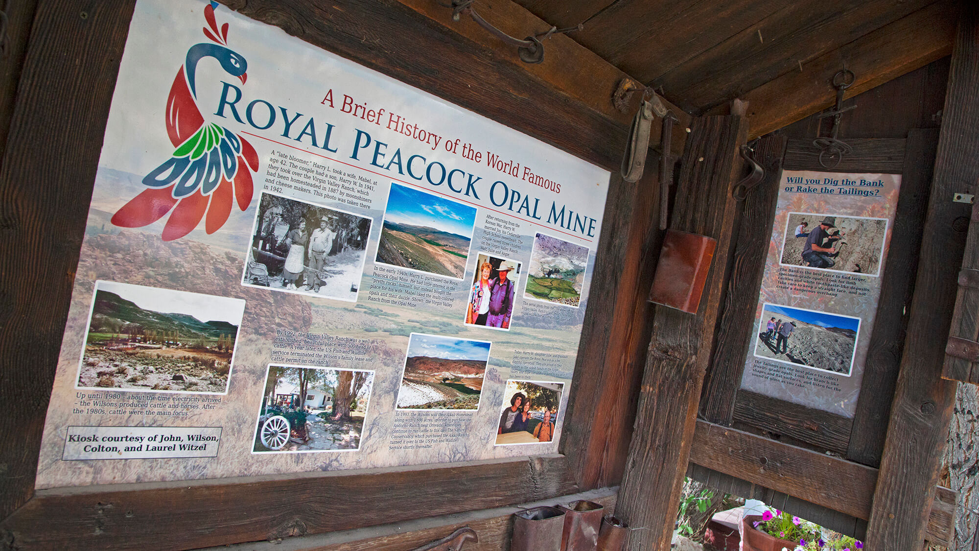 Royal Peacock Opal Mine | Opal Mining Nevada