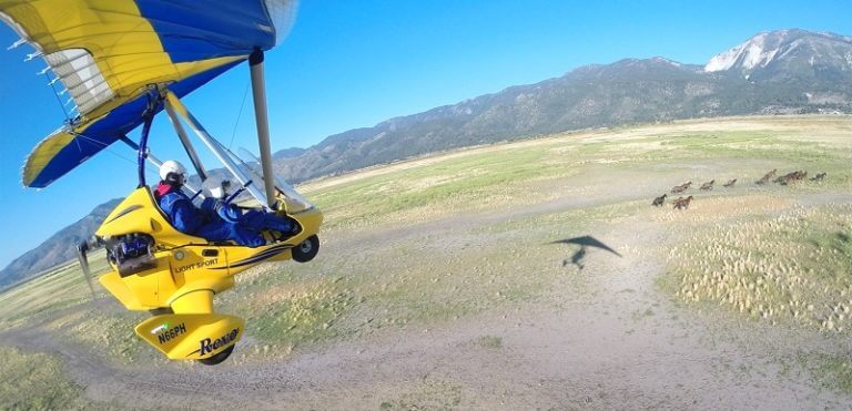 hang glider flying over nevada mustangs