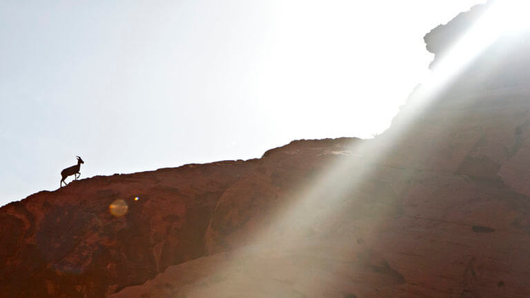 sun rays on valley of fire