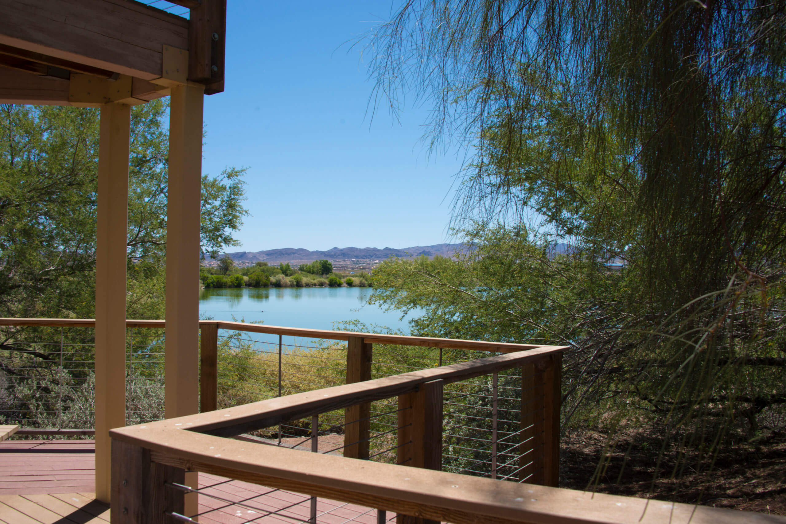 Henderson Bird Viewing Preserve