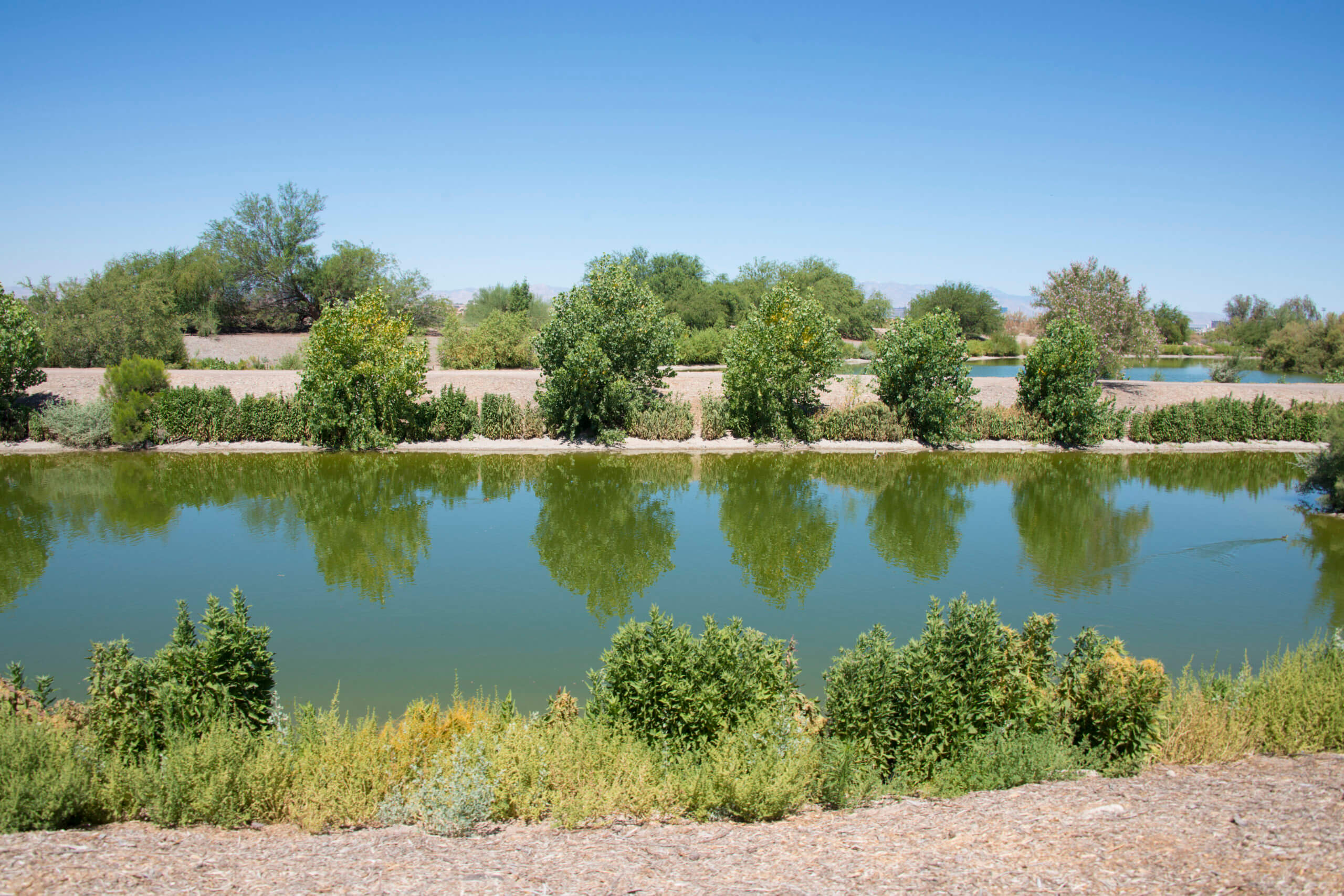 Henderson Bird Viewing Preserve