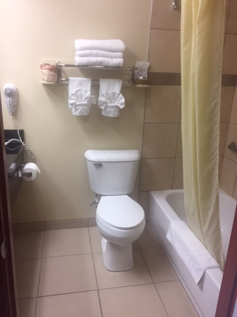 Monarch Motel toilet & tub