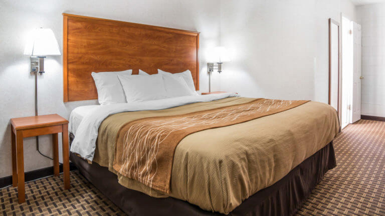 single bed room at the rodeway inn elko