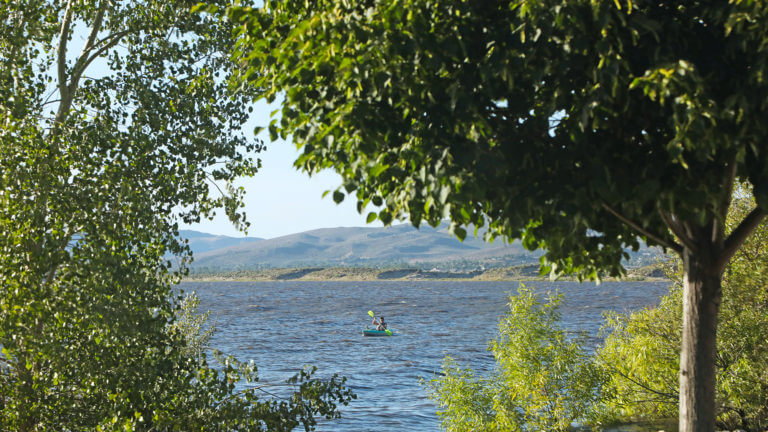 trees lakeside with kayaker on washoe lake in background