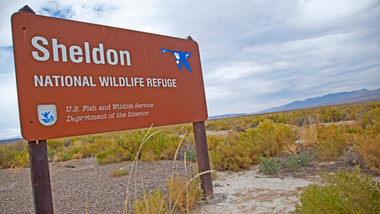 park sign at denio nevada